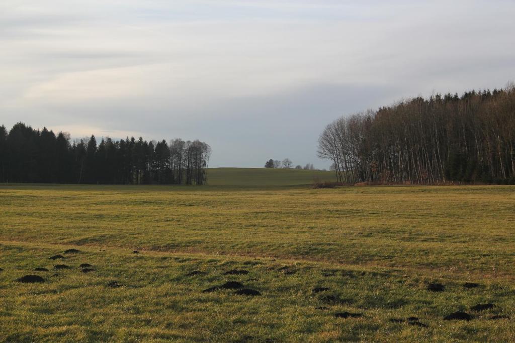 Gasthof Landhotel Hirsch Ostrach Екстериор снимка