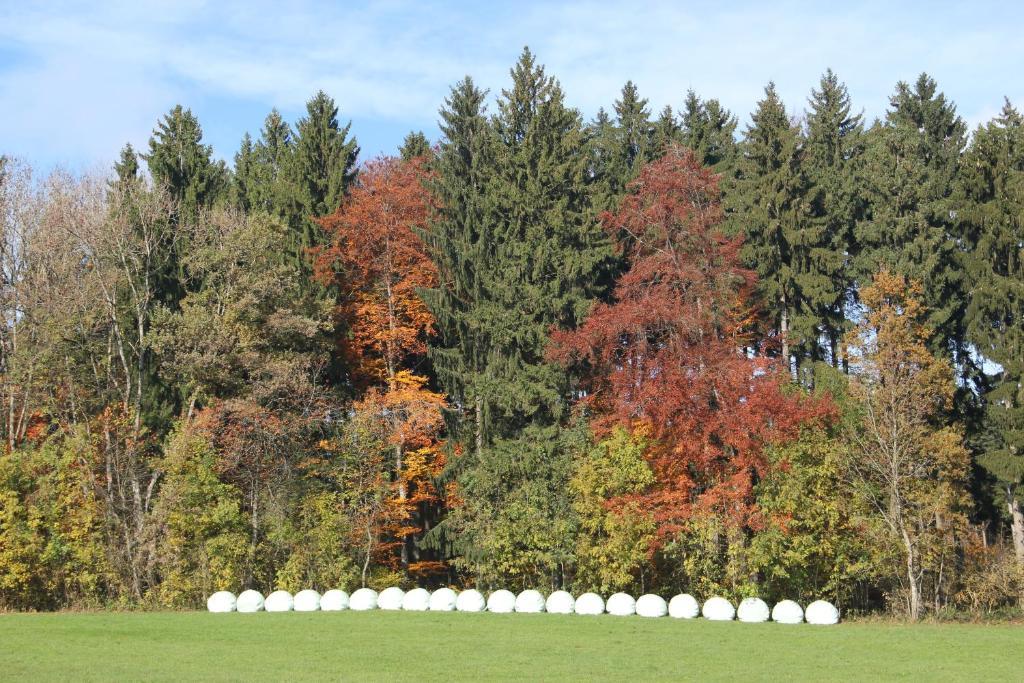 Gasthof Landhotel Hirsch Ostrach Екстериор снимка